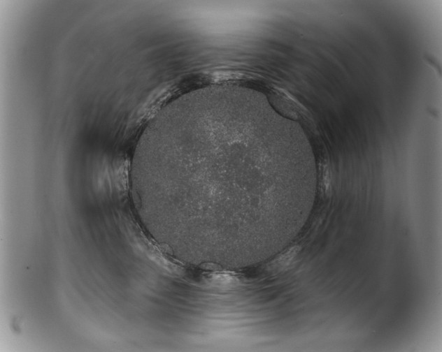 X0000100840475200806201155