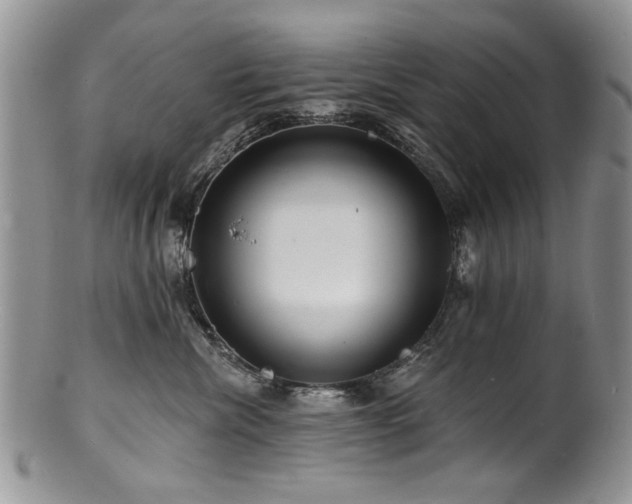 X0000100840476200806201155