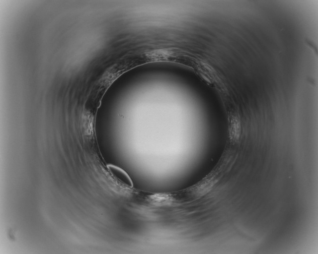 X0000100840477200806201155