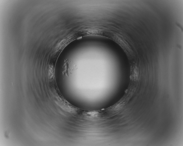 X0000100840478200806201155