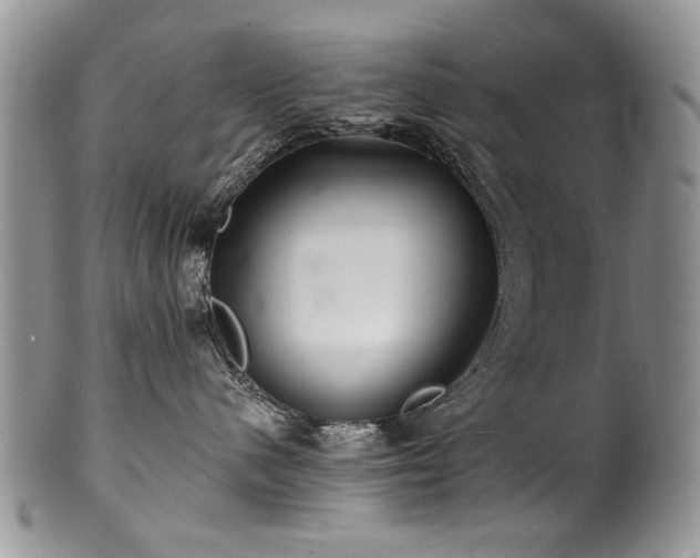 X0000100840480200806201155