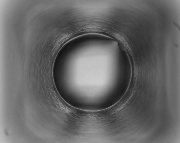 X0000100840481200806201154