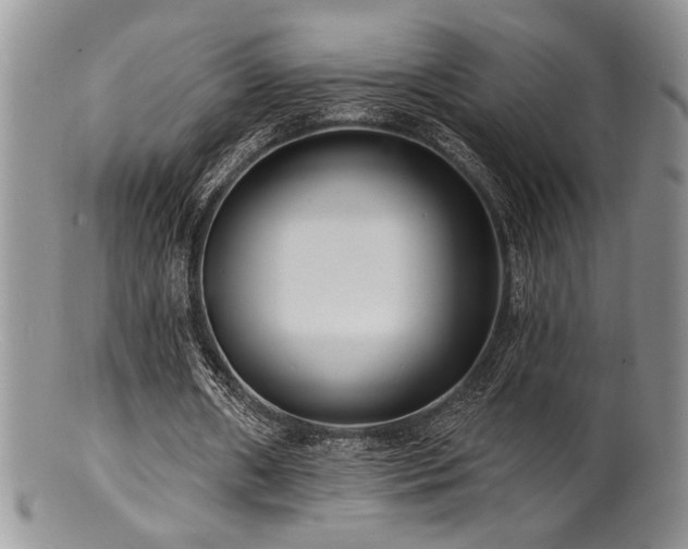 X0000100840482200806201154