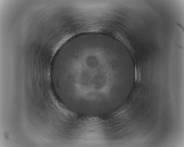 X0000100840483200806201154