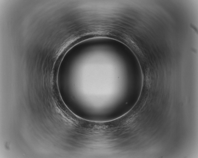 X0000100840484200806201154