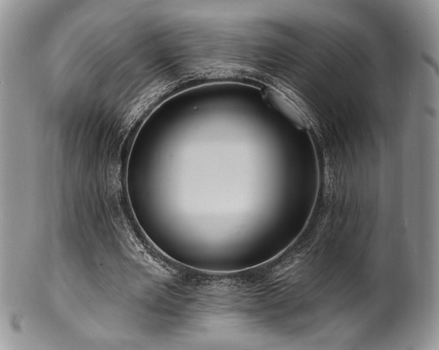 X0000100840485200806201154