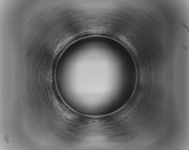 X0000100840486200806201154