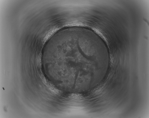 X0000100840487200806201154