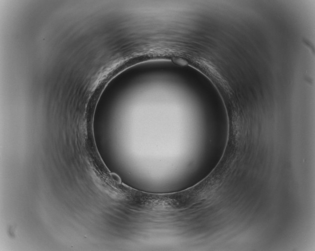 X0000100840488200806201154