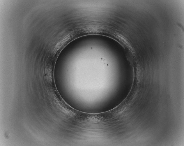 X0000100840489200806201154