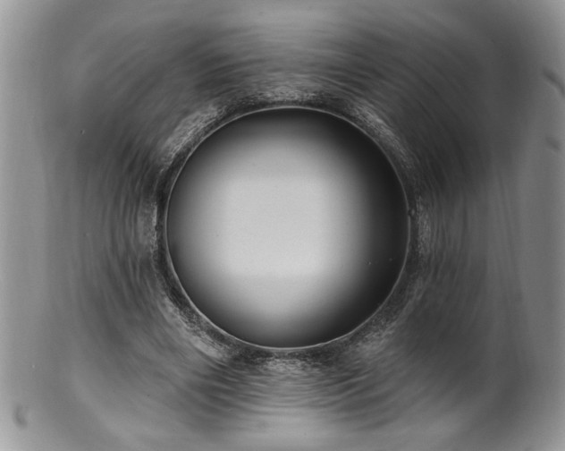 X0000100840490200806201154