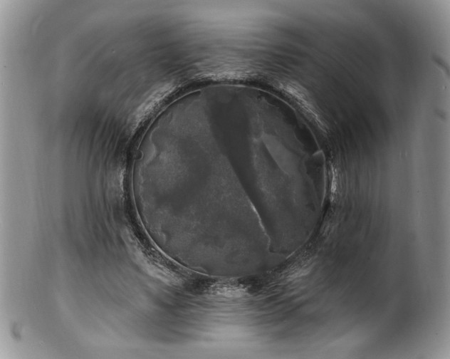 X0000100840491200806201154