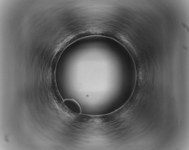 X0000100840492200806201154