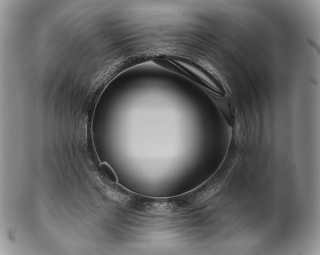 X0000100840493200806201154