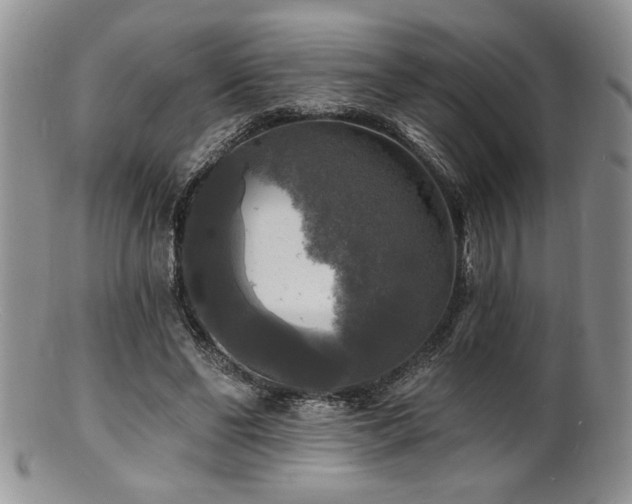 X0000100840494200806201154