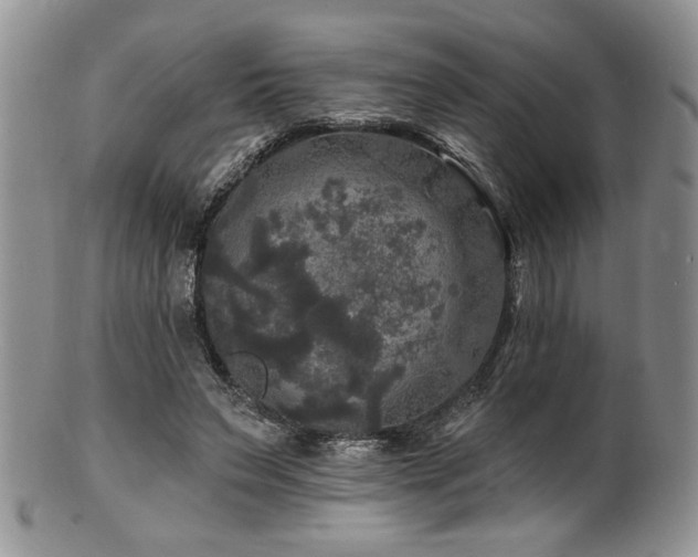 X0000100840495200806201154