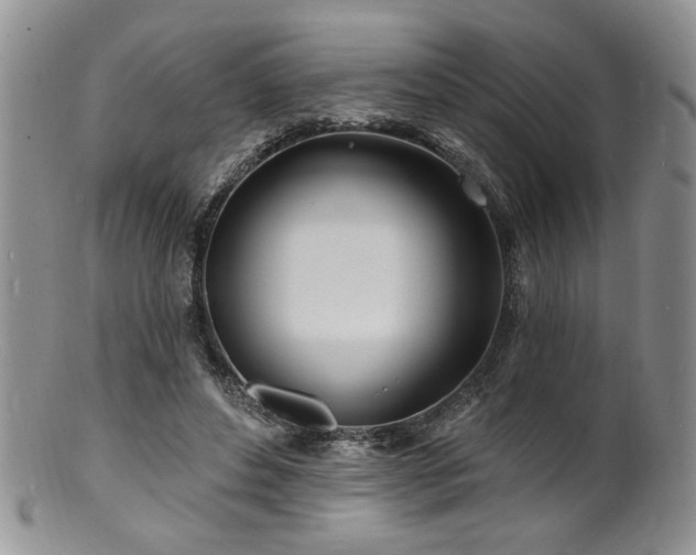 X0000100840496200806201154