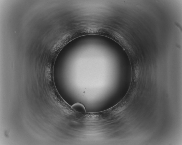 X0000100840497200806201154