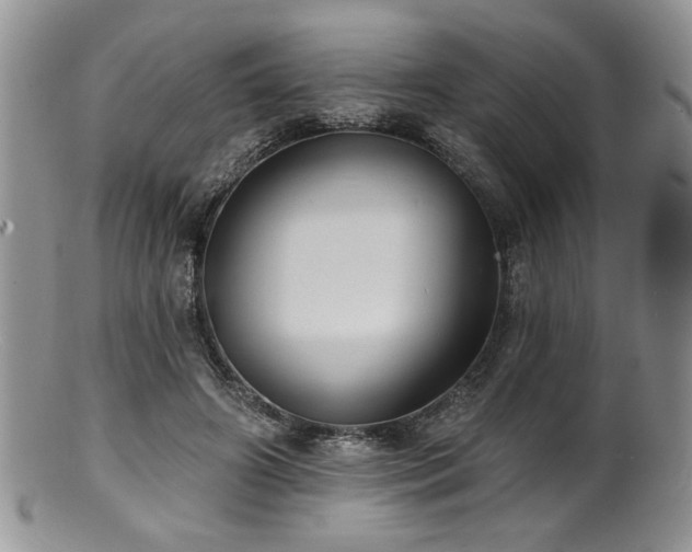 X0000100840498200806201154