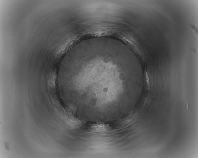 X0000100840499200806201154