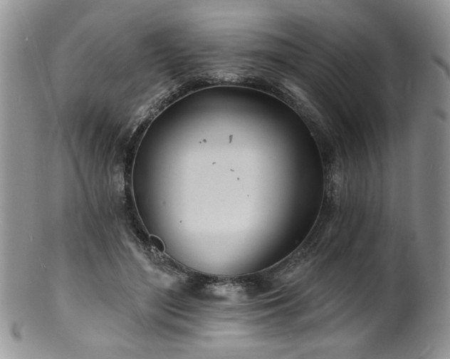 X0000100840500200806201154