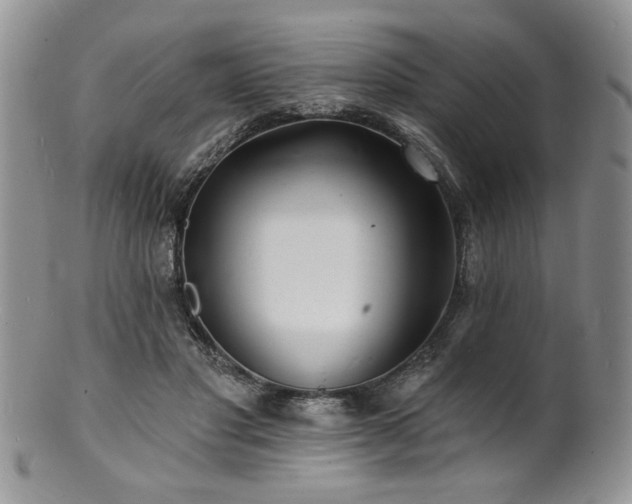 X0000100840501200806201154