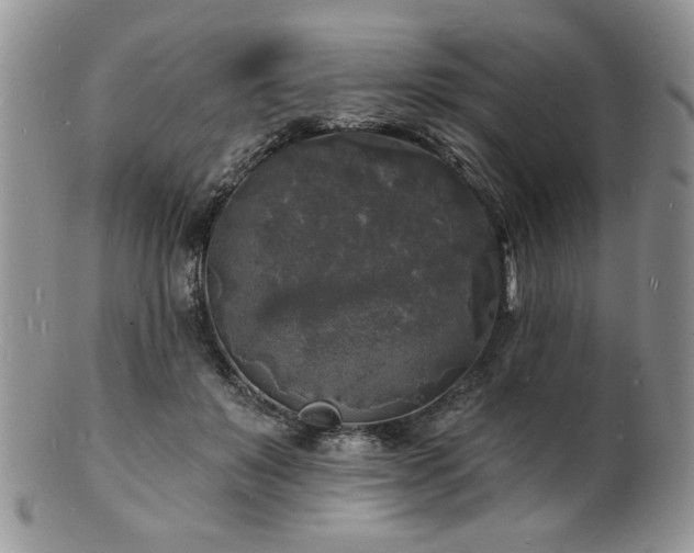 X0000100840503200806201154