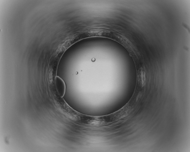 X0000100840504200806201154