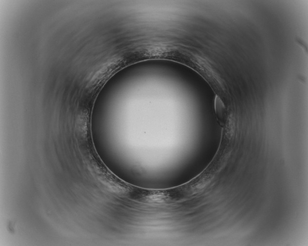 X0000100840505200806201154