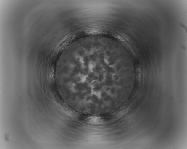 X0000100840507200806201154