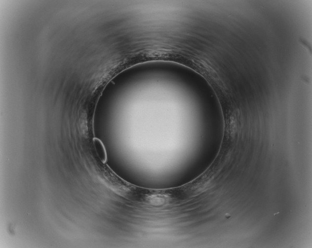 X0000100840508200806201154