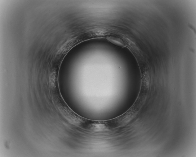 X0000100840509200806201154