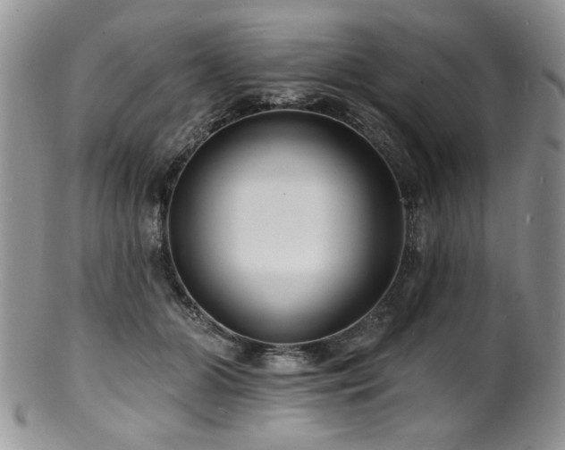 X0000100840510200806201154