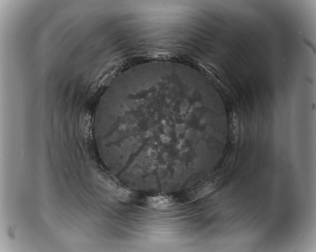 X0000100840511200806201154