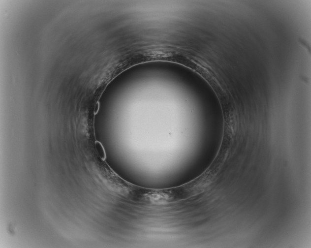 X0000100840512200806201154