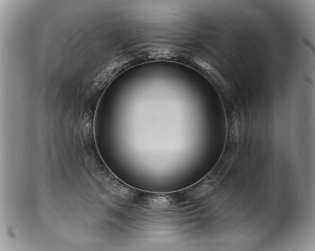 X0000100840513200806201154