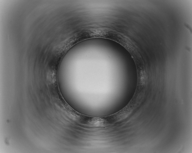 X0000100840514200806201154