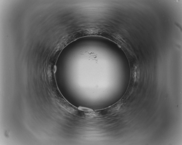 X0000100840516200806201154