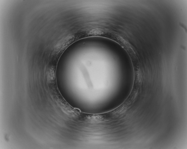 X0000100840517200806201154