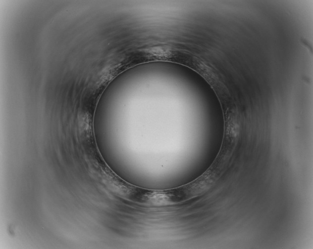 X0000100840518200806201154