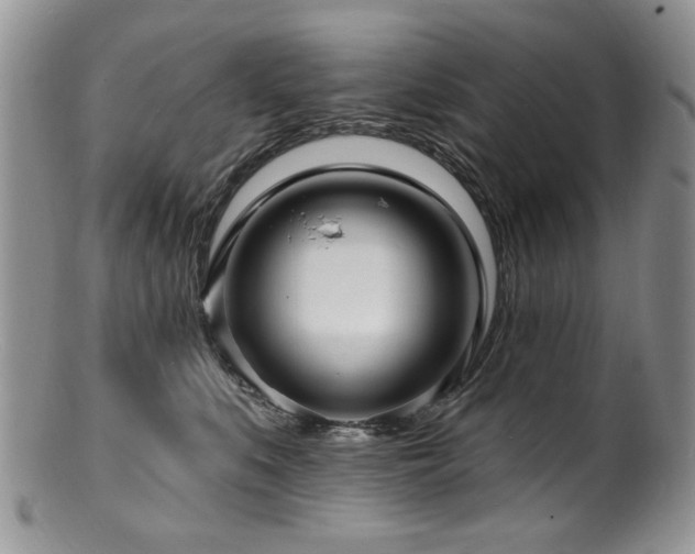 X0000100840519200806201154