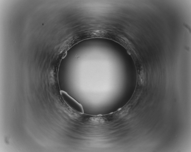 X0000100840520200806201154