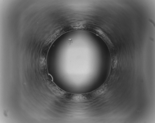 X0000100840521200806201154