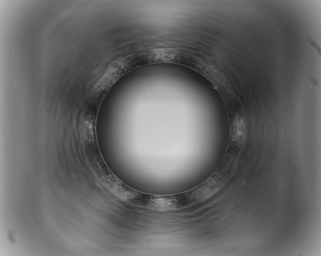 X0000100840522200806201154