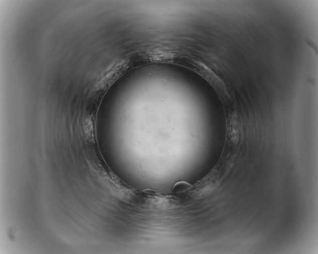 X0000100840523200806201154