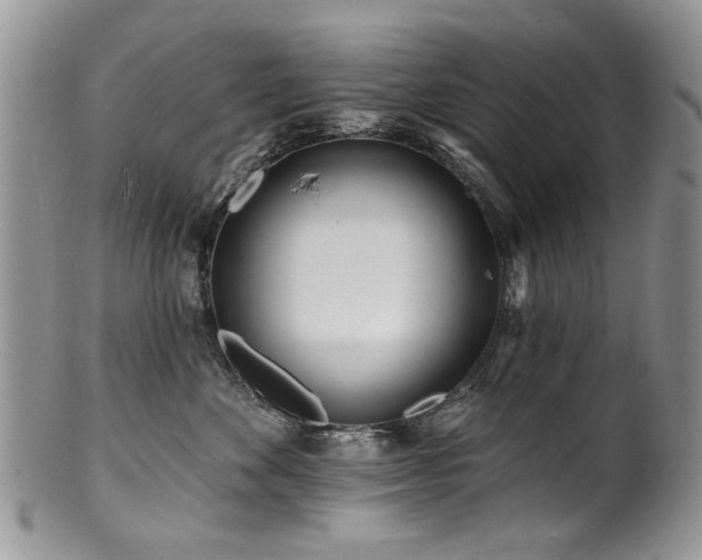 X0000100840524200806201154