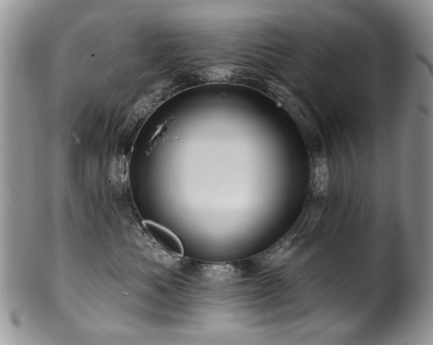 X0000100840525200806201154