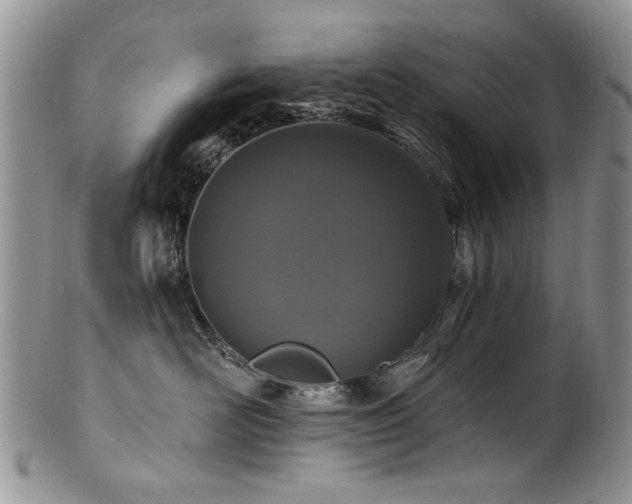 X0000100840526200806201154