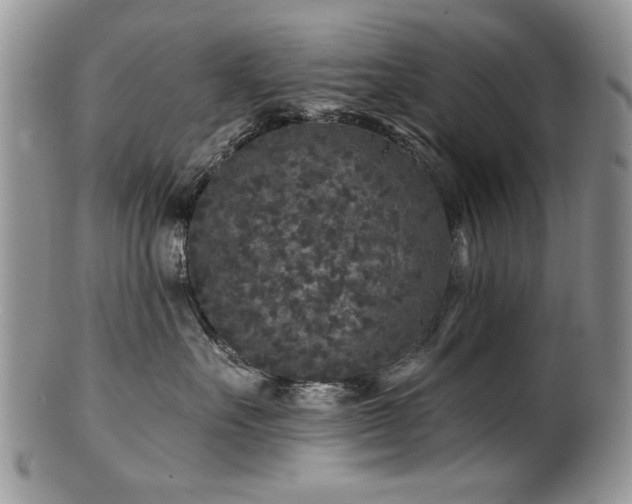 X0000100840527200806201153