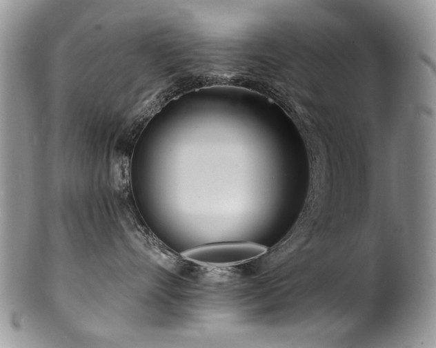 X0000100840528200806201153